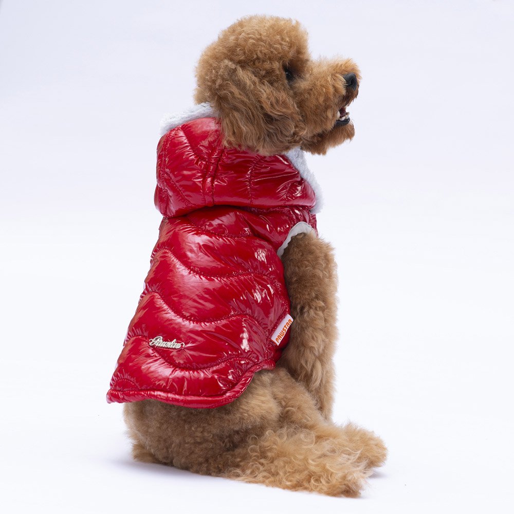 PawStar Red Light Wave Dog Vest for Small and Medium Breeds, Stylish Lightweight Comfortable Pet Vest for Daily Walks