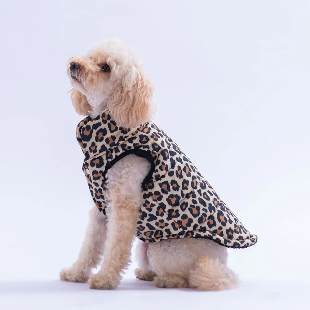 PawStar Mbeya Gold Dog Vest for Small and Medium Breeds, Stylish Lightweight Pet Clothing, Comfortable Daily Wear Jacket