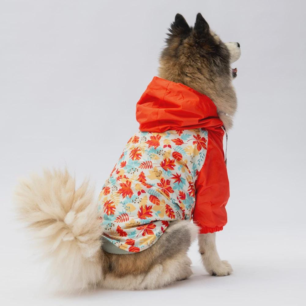 Waterproof Dog Raincoat: Ottawa Breed, Adjustable Straps