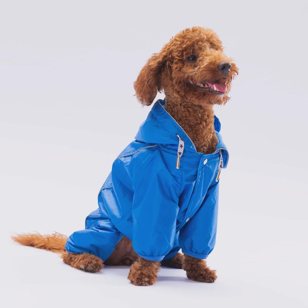 Sax Blue Dog Raincoat: Waterproof Hooded Pet Jacket for Small Medium Dogs