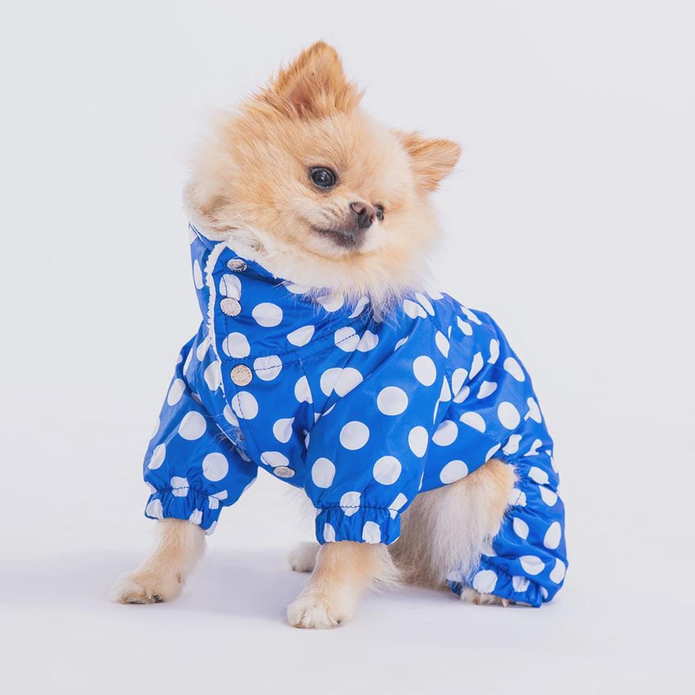 Blue Polka Dot Dog Raincoat: Waterproof Puppy Poncho with Hood
