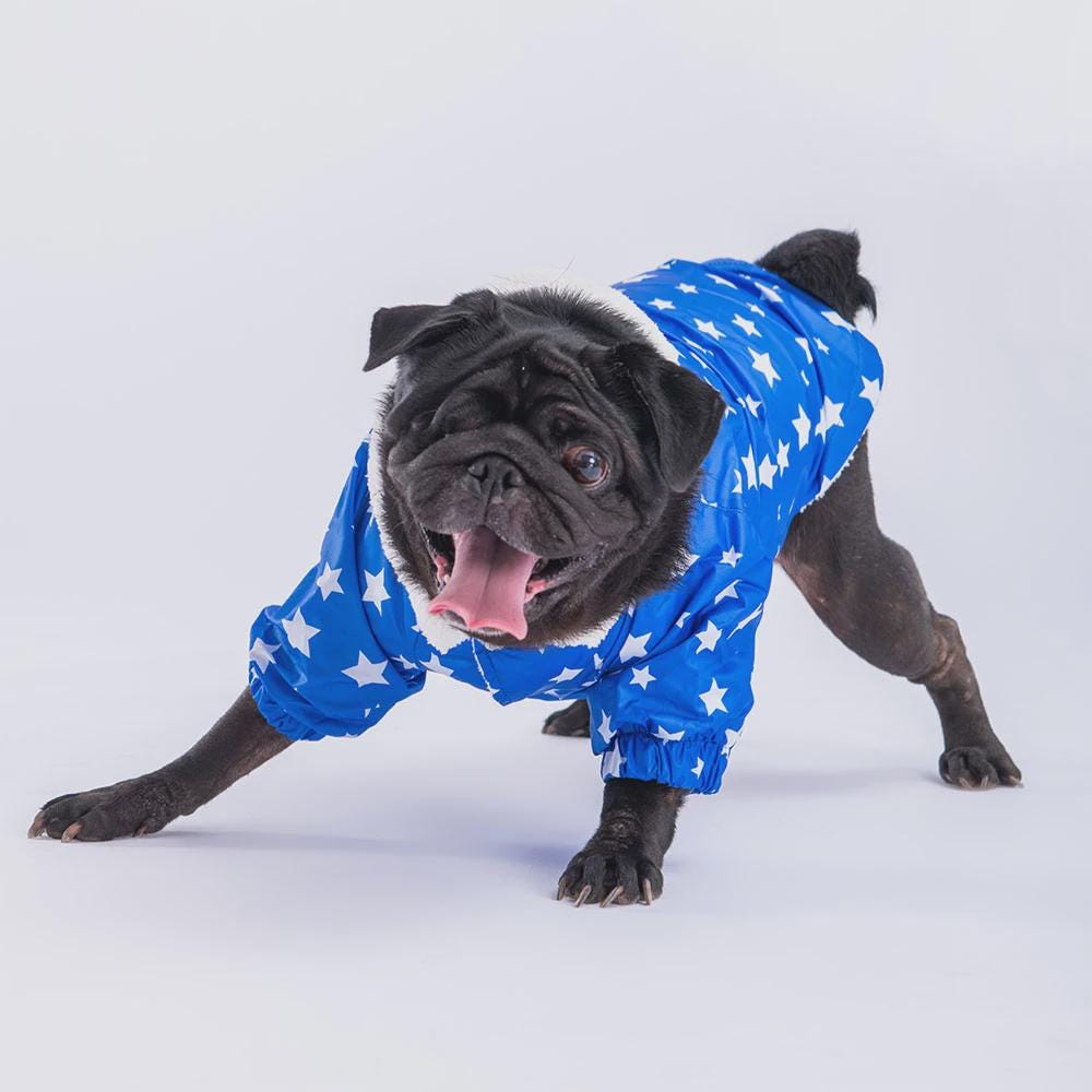 Blue Stars Dog Raincoat: Waterproof Lightweight Pet Jacket