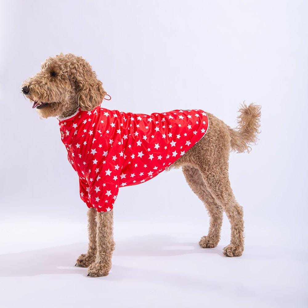 Red Stars Dog Raincoat: Waterproof Puppy Jacket with Hood