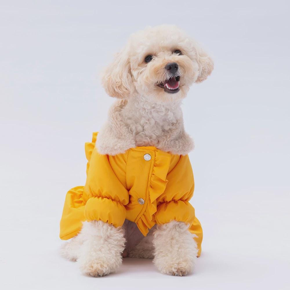 Yellow Dog Raincoat: Waterproof Elizabeth Style Pet Jacket