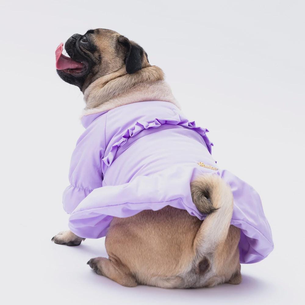 Elizabeth Model Lilac Dog Raincoat Stylish Waterproof Pet Jacket with Hood Lightweight