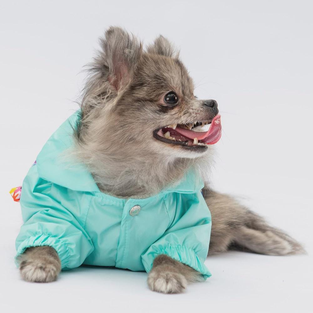 Mint Green Dog Raincoat: Waterproof Pet Jacket with Hood