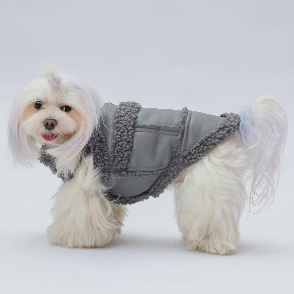 Gray Dog Vest: Stylish Small/Medium Puppy Jacket - Churchill Model