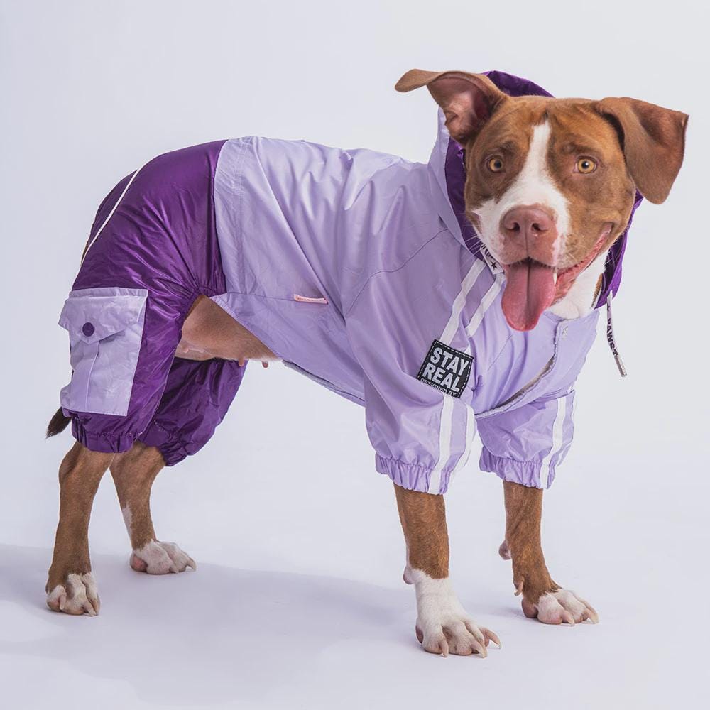 Lilac & Purple Dog Raincoat: Waterproof Lightweight Pet Jacket