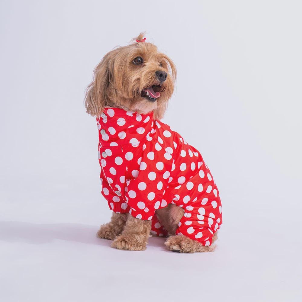 Red Polka Dot Dog Raincoat: Waterproof Puppy Poncho with Hood