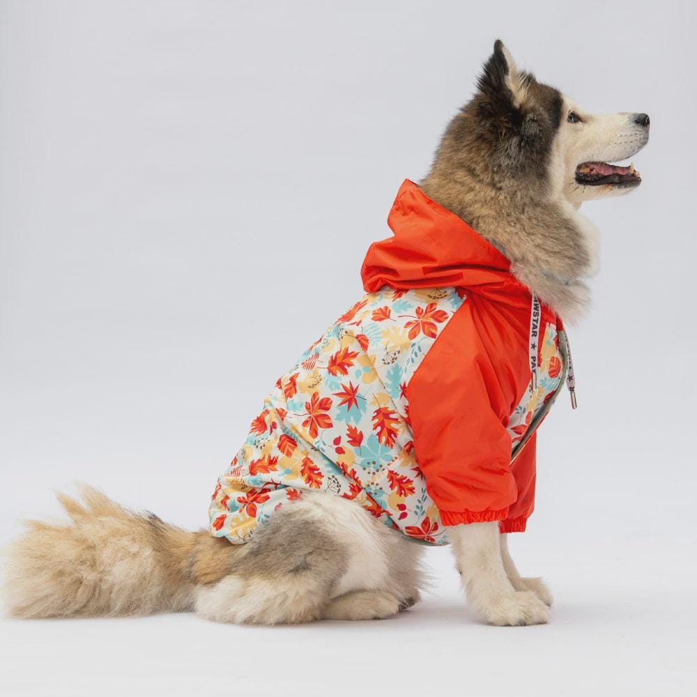Dog Raincoat