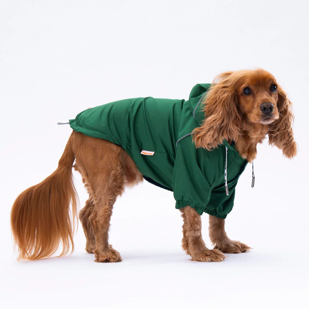 Green Pluvia Small & Medium Breed Raincoat
