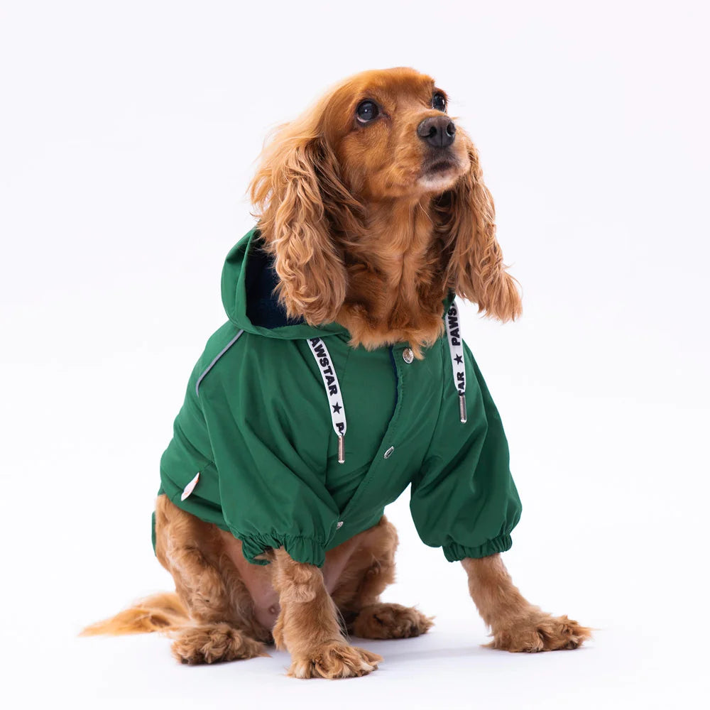 Green Pluvia Small & Medium Breed Raincoat