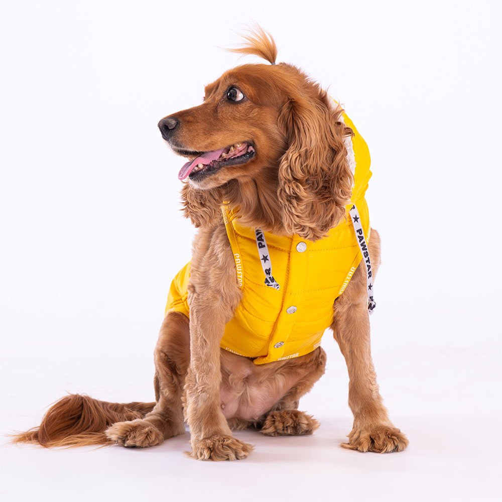 Yellow Railway Small & Medium Breed Vest