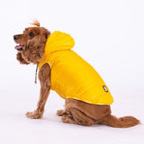 Yellow Railway Small & Medium Breed Vest