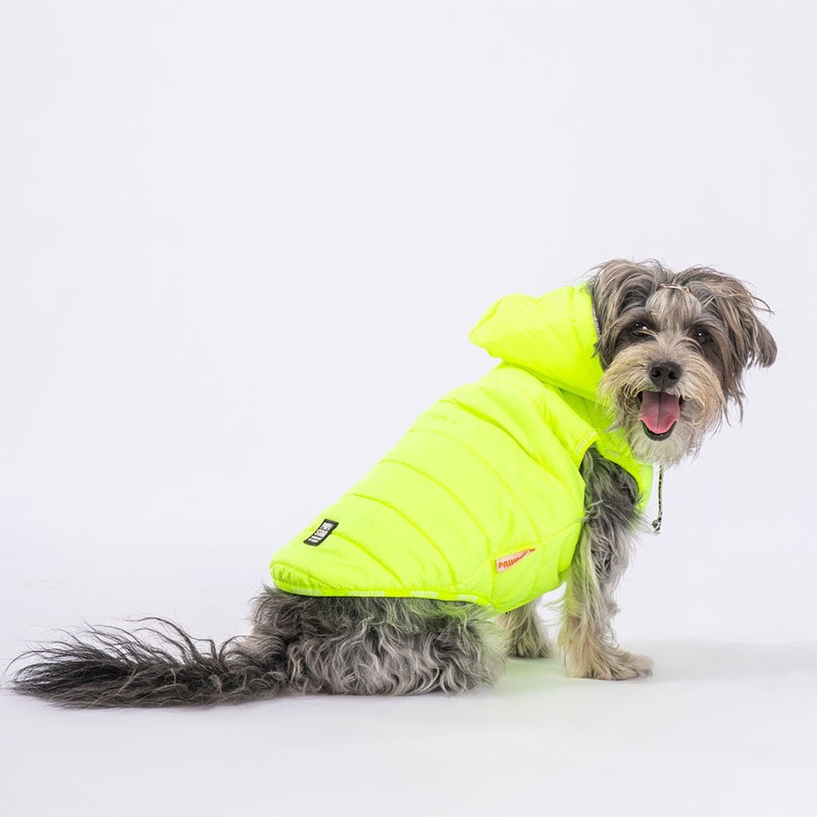 Neon Yellow Railway Small & Medium Breed Vest
