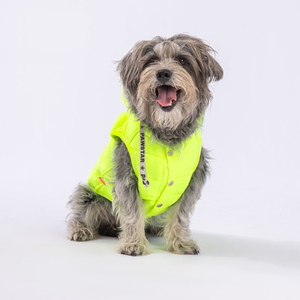 Neon Yellow Railway Small & Medium Breed Vest