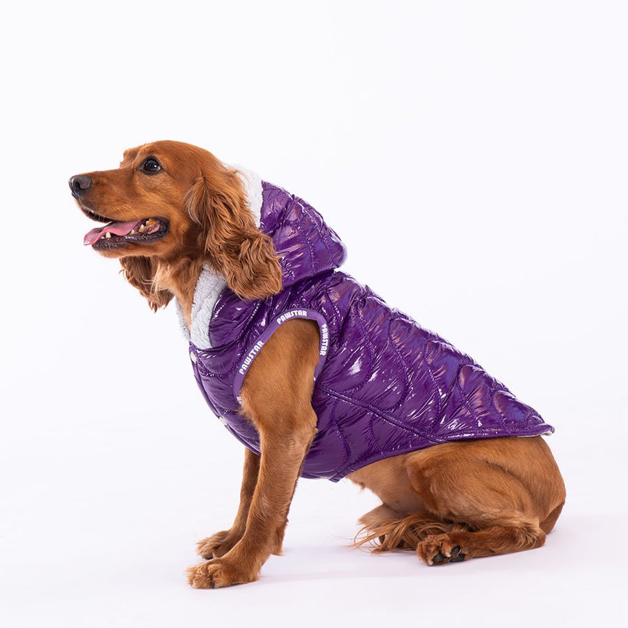 More Light Wave Vest Small & Medium Breed Raincoat