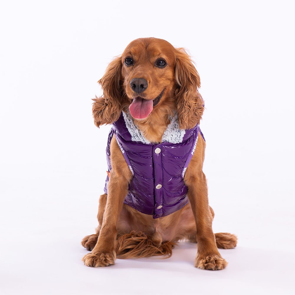 More Light Wave Vest Small & Medium Breed Raincoat