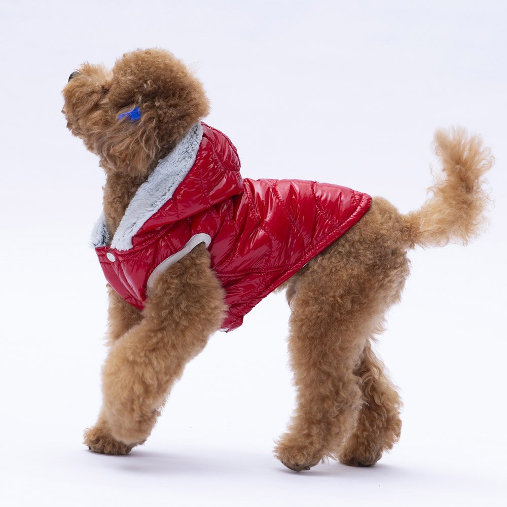 PawStar Red Light Wave Dog Vest for Small and Medium Breeds, Stylish Lightweight Comfortable Pet Vest for Daily Walks