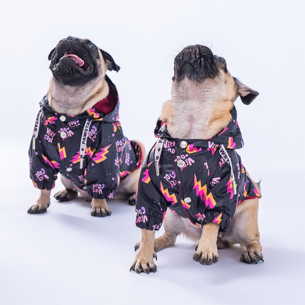 Cool Raincoat Small & Medium Breed