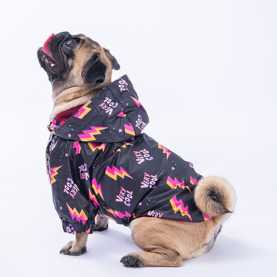 Cool Raincoat Small & Medium Breed