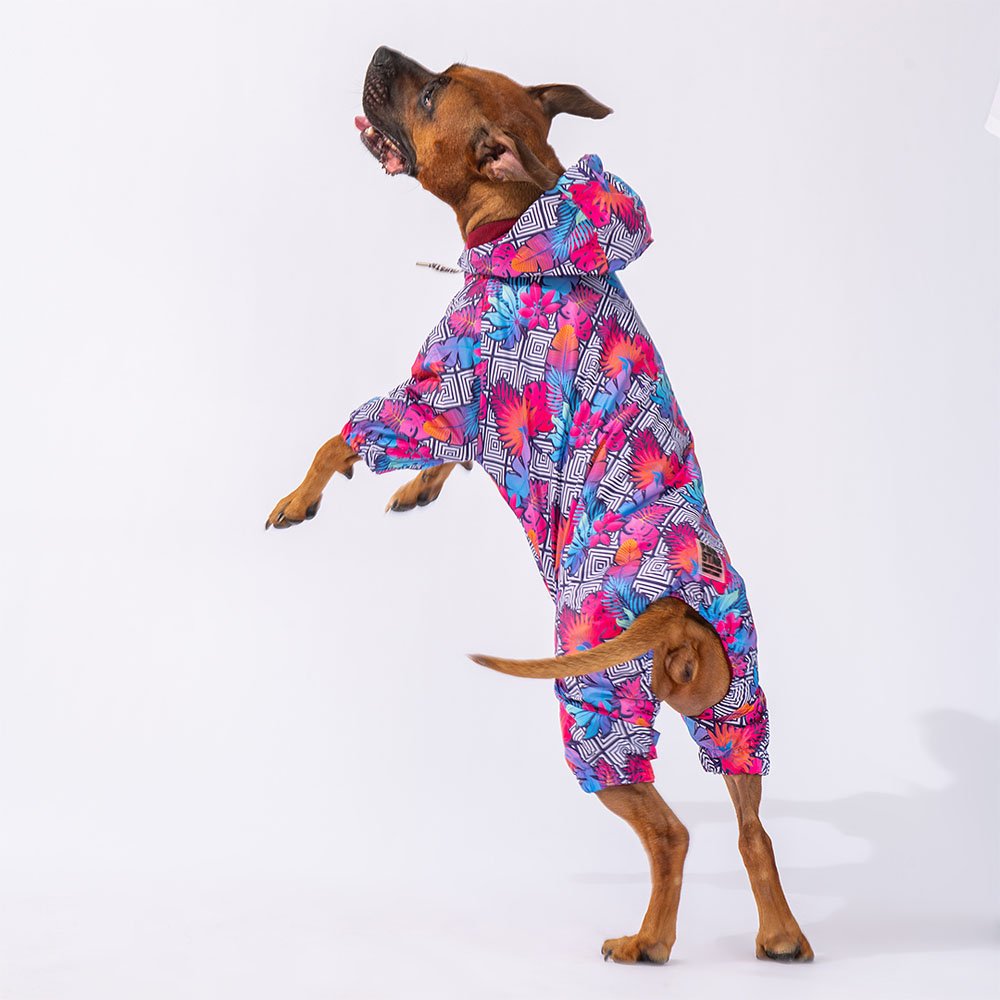 Palmatum Large Breed Raincoat