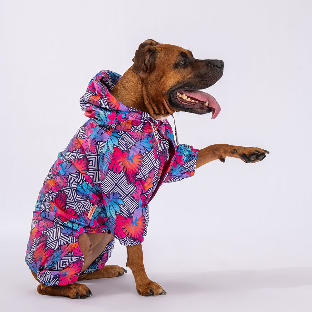Palmatum Large Breed Raincoat