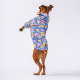 Dinosaur Hooded Raincoat