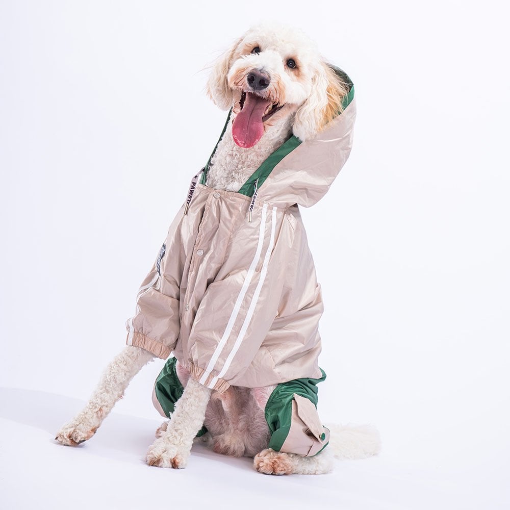Beige - Green BiColar Large Breed Raincoat