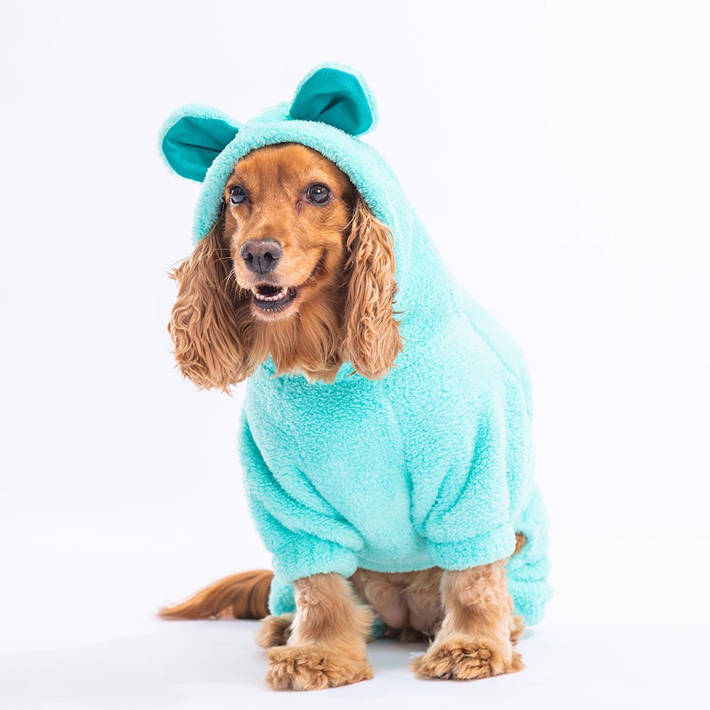 Mint Koala Small Breed Jumpsuit