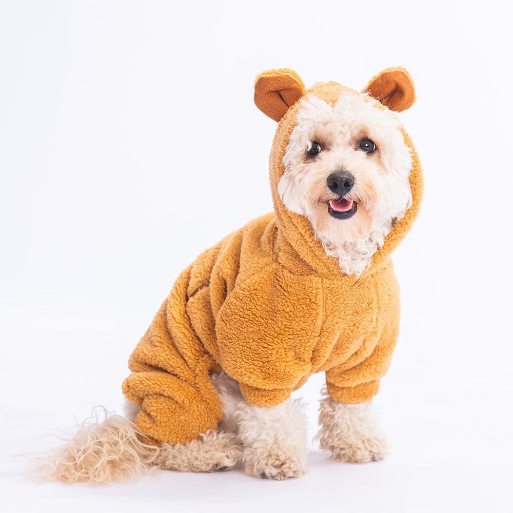 Brown Koala Small Breed Jumpsuit