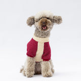 Burgundy Alaska Sweatshirt Small & Medium Breed