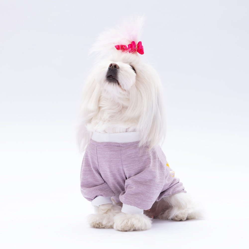 Lilac Dude Small Breed Sweatshirt