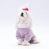 Lilac Dude Small Breed Sweatshirt