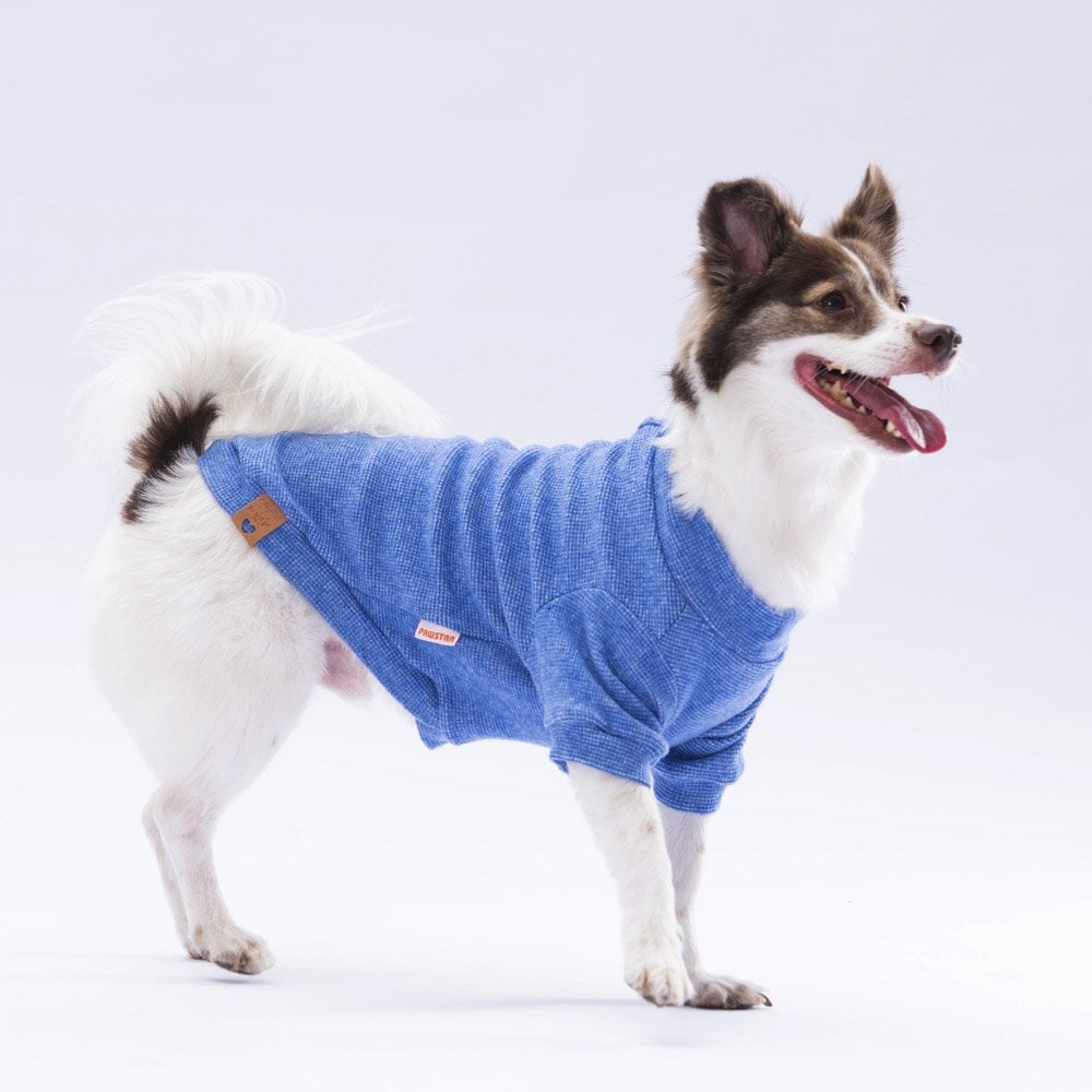 Blue Merino Sweatshirt Small & Medium Breed