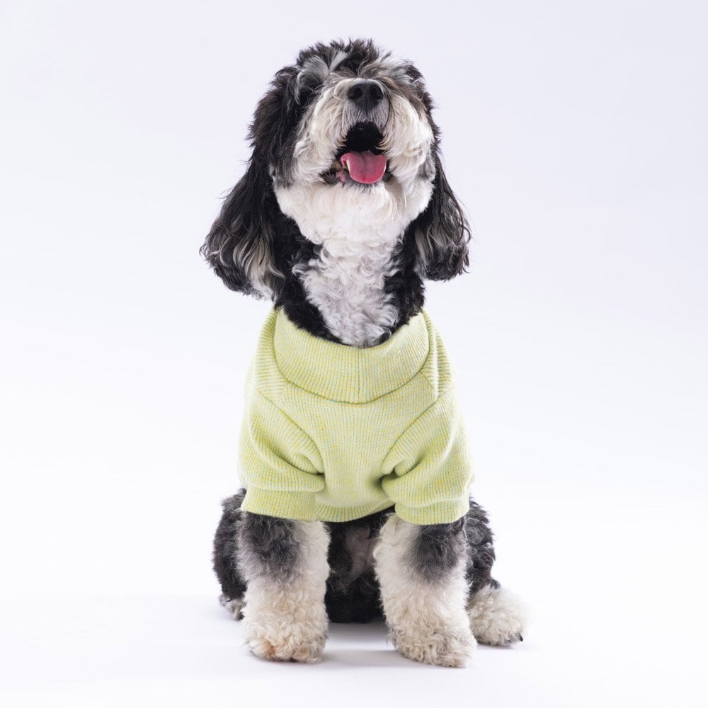 Yellow Merino Sweatshirt Small & Medium Breed