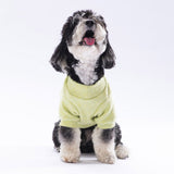Yellow Merino Sweatshirt Small & Medium Breed