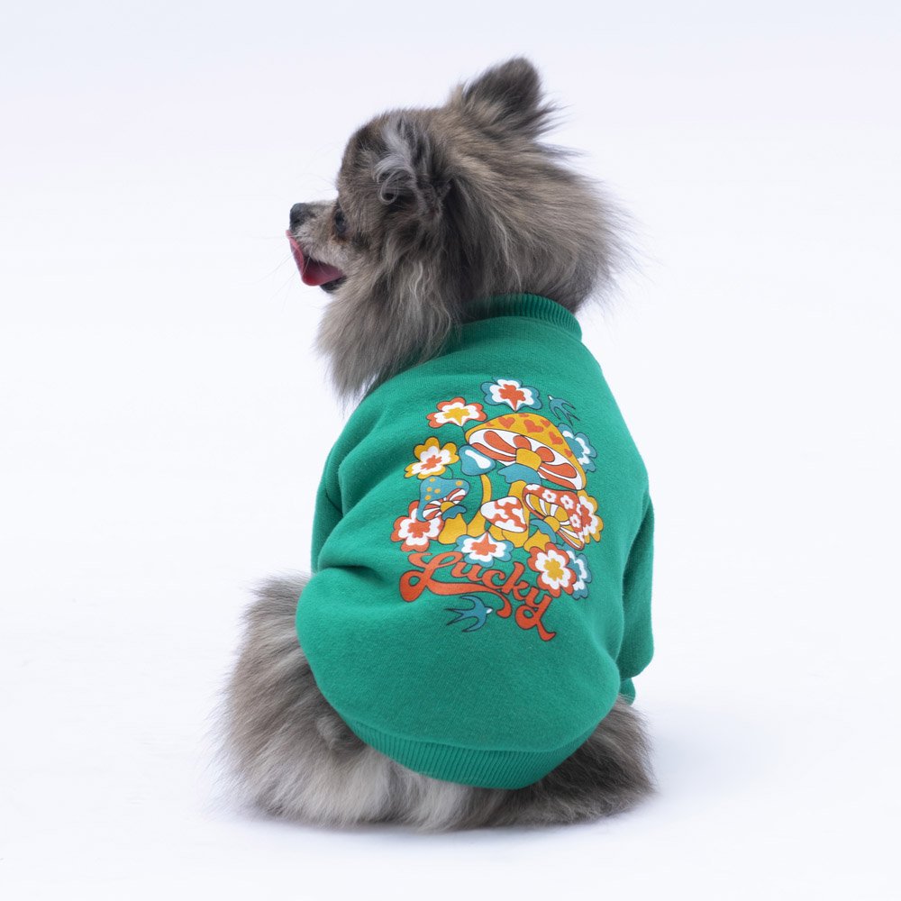 Green Chogqing Sweatshirt Small & Medium Breed