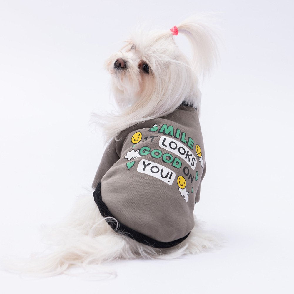Smoke Loviisa Sweatshirt Small & Medium Breed
