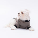 Smoke Loviisa Sweatshirt Small & Medium Breed