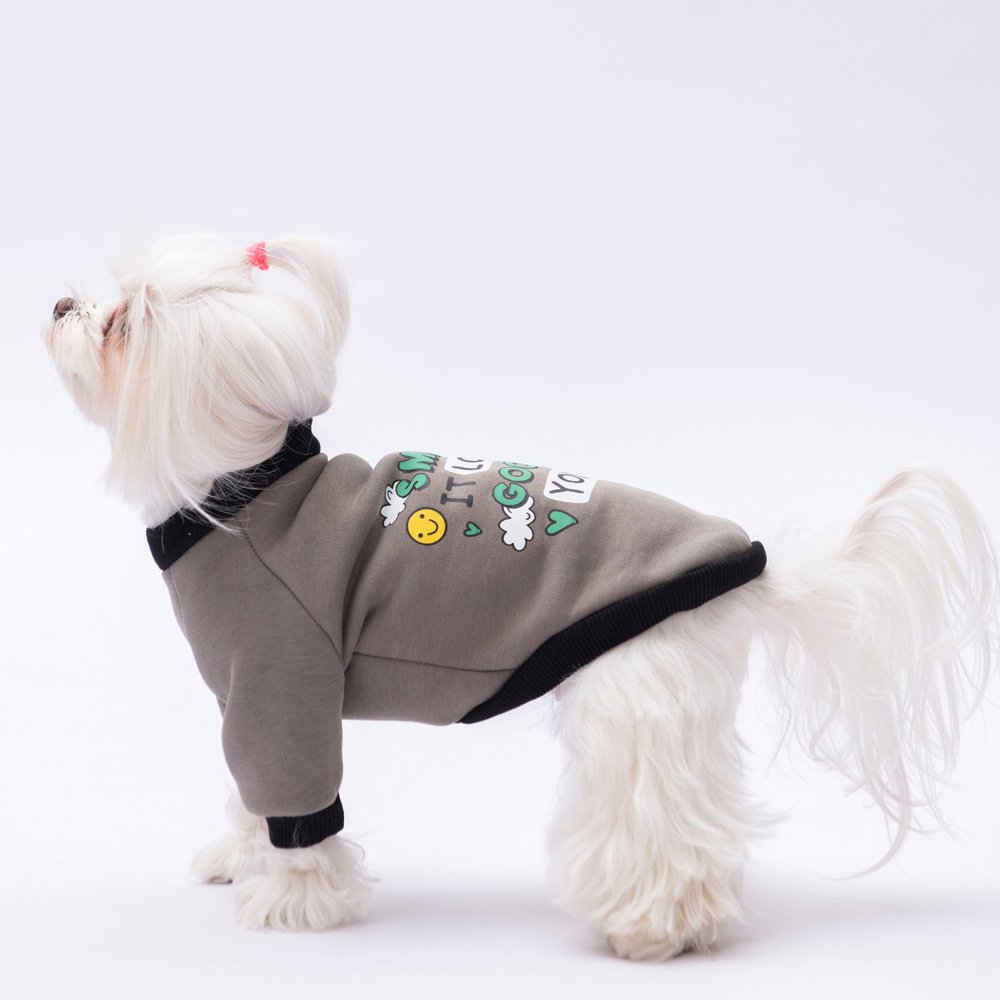 Smoke Loviisa Sweatshirt Small & Medium Breed