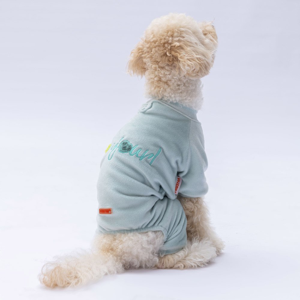 Mint Angers Jumpsuit Small & Medium Breed
