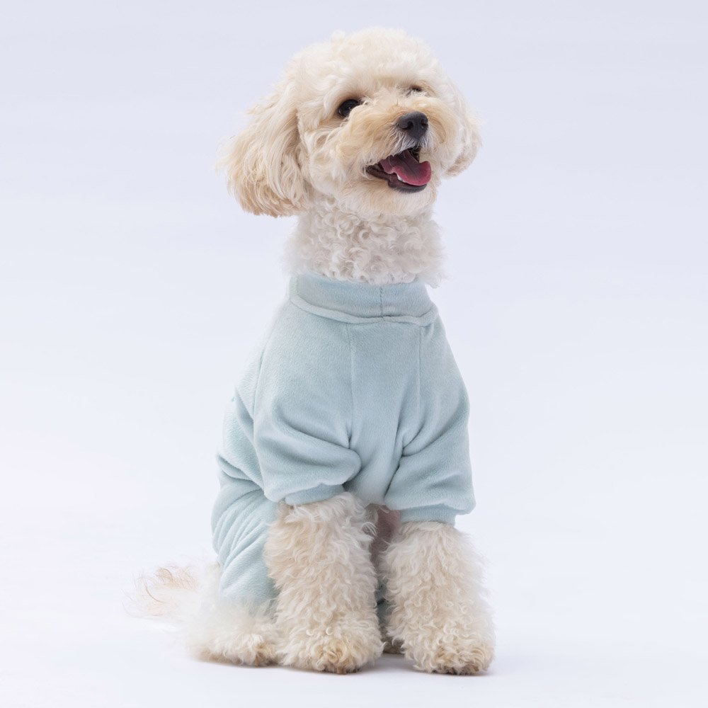 Mint Angers Jumpsuit Small & Medium Breed