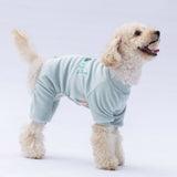 Mint Angers Jumpsuit Small & Medium Breed