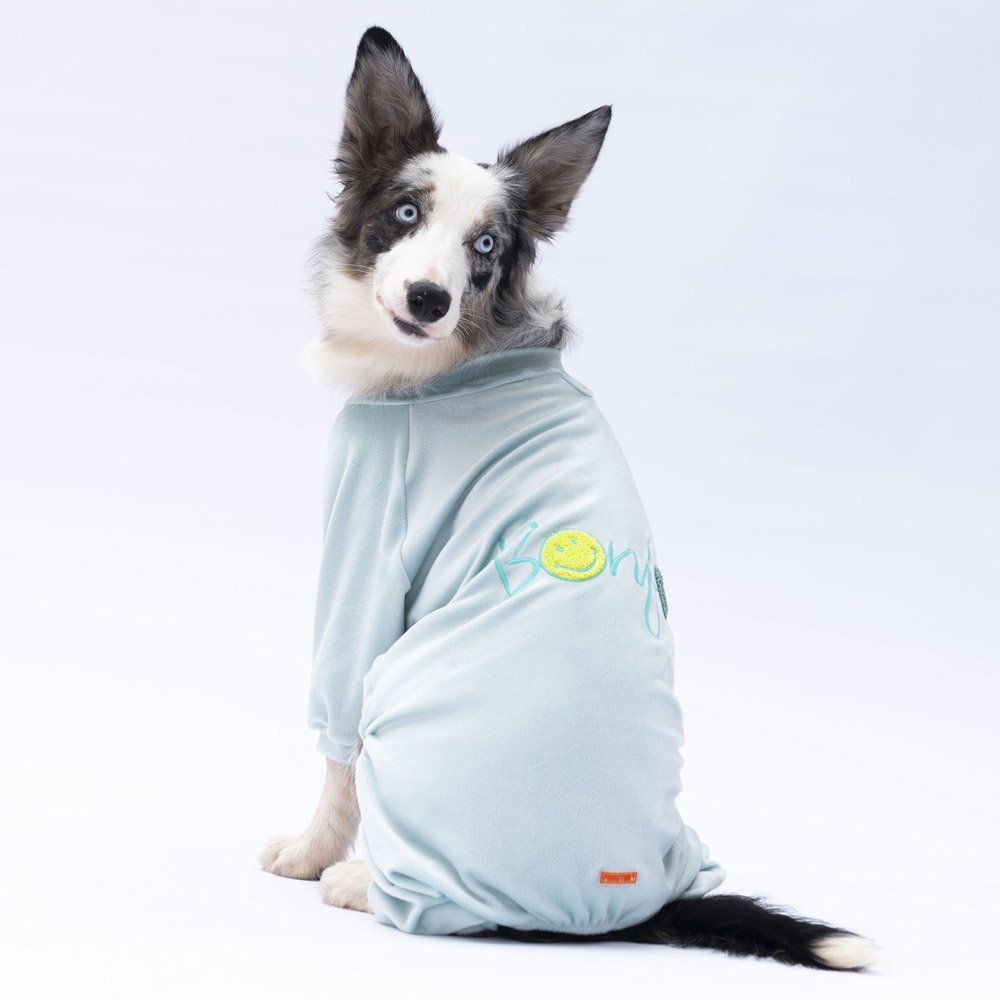 Mint Angers Large Breed Jumpsuit