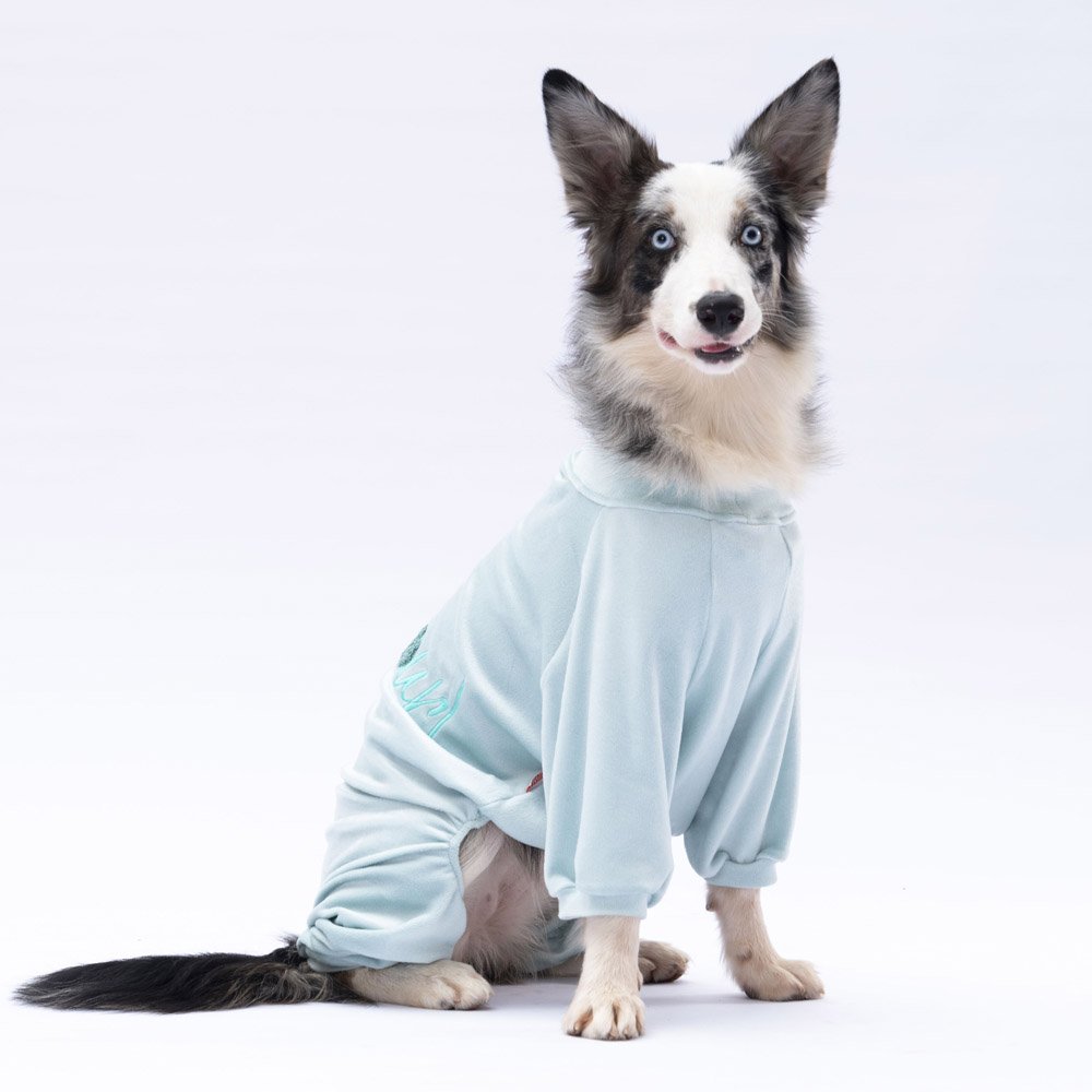 Mint Angers Large Breed Jumpsuit