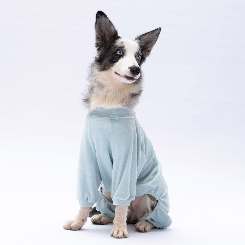Mint Angers Large Breed Jumpsuit