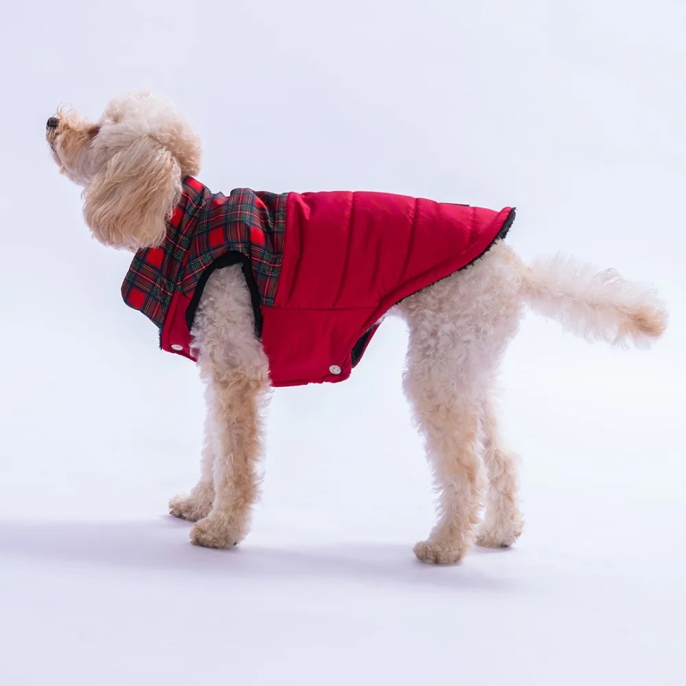 Red Elgin Paws Vest Small & Medium Breed