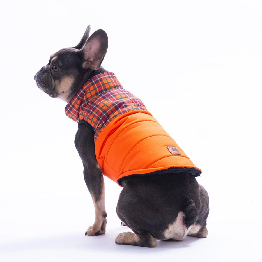 Orange Elgin Paws Vest Small & Medium Breed