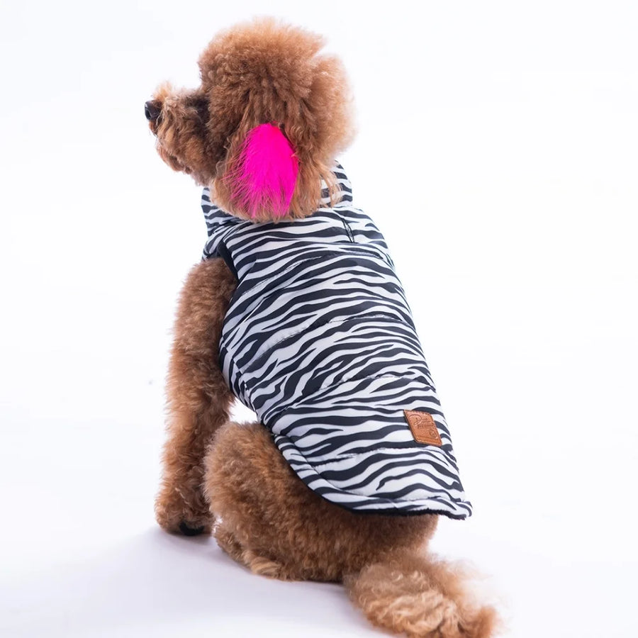 Lodwar Street Vest Small & Medium Breed